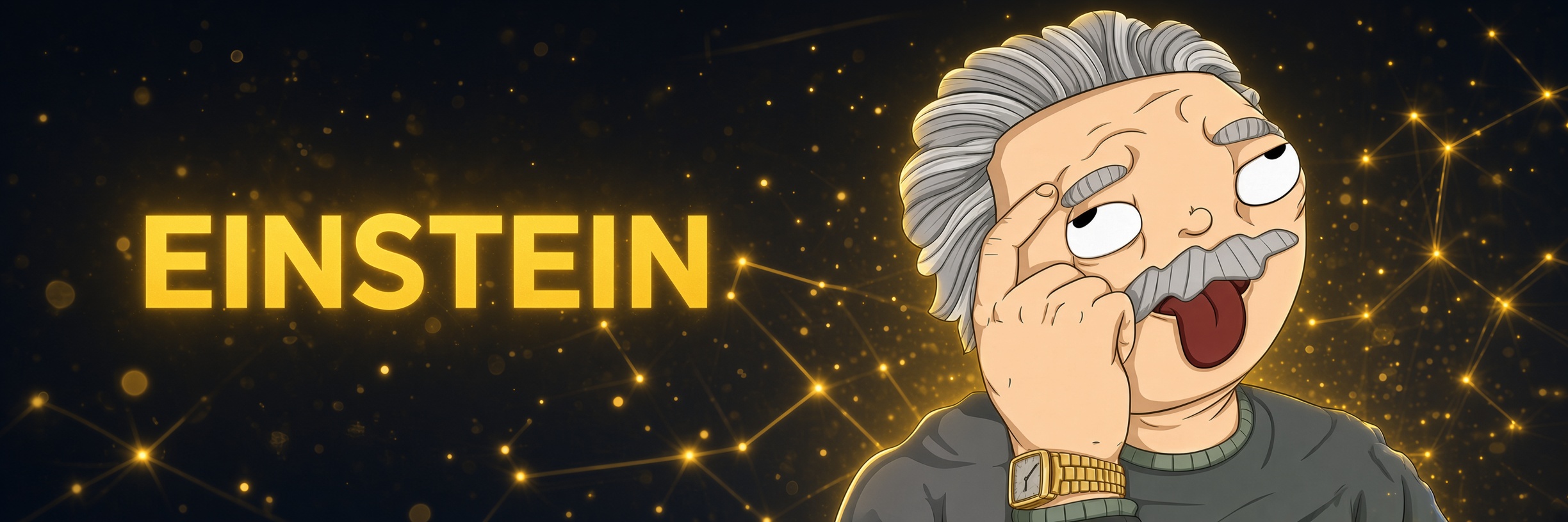 EINSTEIN banner